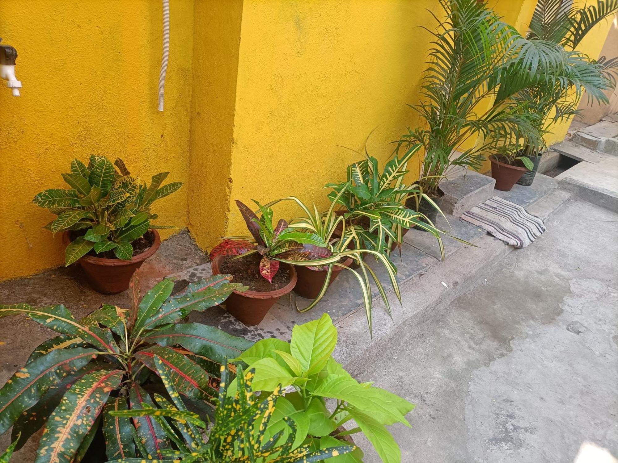 Nks Homestay Pondicherry Exteriör bild